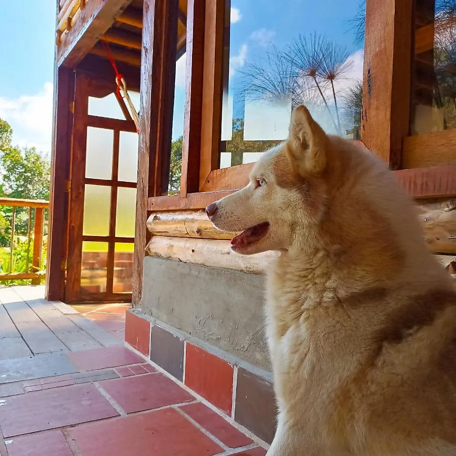 Chalet Del Lago Santa Elena Santa Elena  Santa Elena (Antioquia)